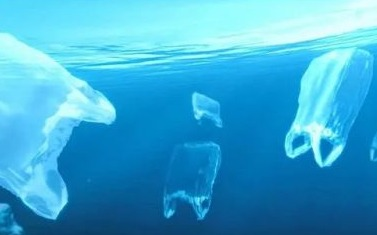 陈根：从海洋到海归，塑料污染威胁逼近